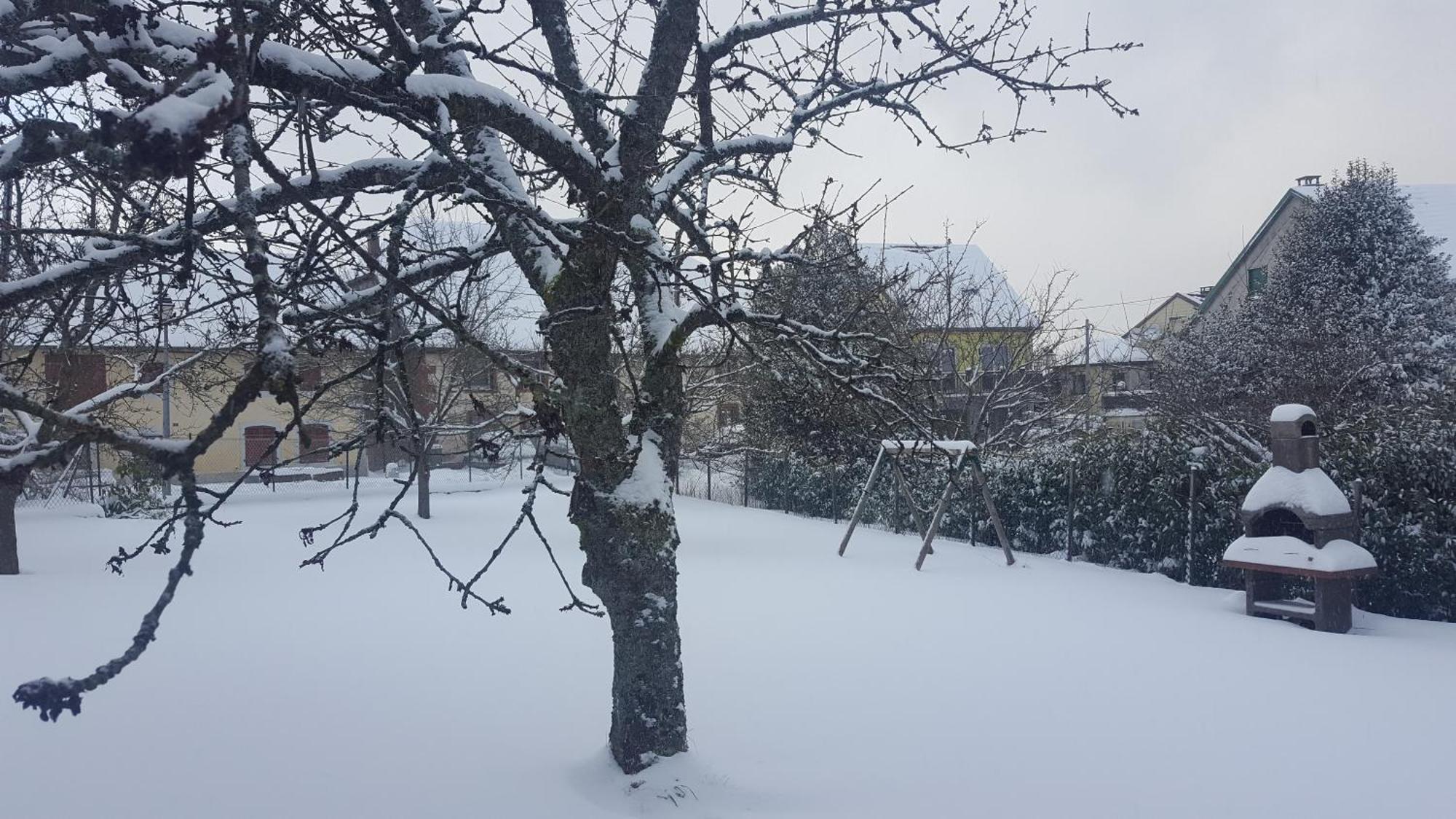 Maison De Vacances Freconrupt La Broque Dış mekan fotoğraf